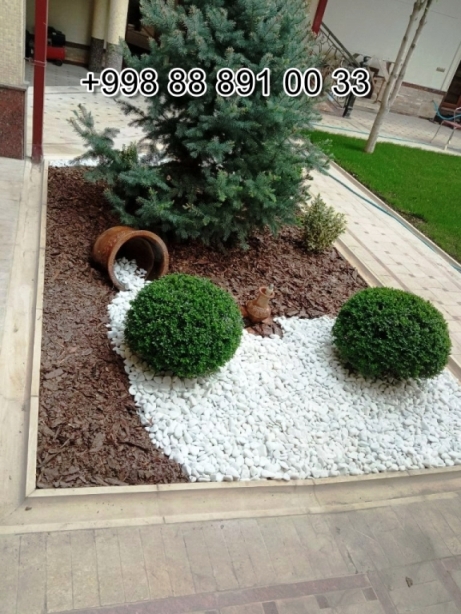  gabion.uz in Khorezm Cost Video Review Photo, gabion.uz in Syrdarya Cost Video Review Photo, gabion.uz in Uzbekistan Price Photo Video Cost ReView, gabion.uz in Namangan Price Photo Video Cost, gabion.uz в Андижане Цена Фото Обзор, gabion.uz in Kashkadarya Cost Video Review Photo, Xorazm gabion.uz Narxi Video Foto Rasm, Qoraqalpog‘iston Nukus gabion.uz Narxi Rasm Video Foto Narxi, gabion.uz Самарканде Цена Фото Обзор, gabion.uz in Surkhandarya Cost Video Review Photo, gabion.uz в Кашкадарье Цена Фото Обзор, gabion.uz Самарканде Цена Фото Обзор, Jizzax gabion.uz Video Narxi Rasm Foto, gabion.uz in Andijan Cost Video Review Photo, gabion.uz Сурхандарье Фото Цена Обзор Видео, Surxondaryo gabion.uz Narxi Rasm Video Foto, gabion.uz Нукусе Цена Фото Обзор, Namangan gabion.uz Video Foto Narxi Rasm, gabion.uz в Ташкенте Узбекистане Цена Фото Обзор, gabion.uz in Nukus Photo Video Cost ReView Price, gabion.uz в Ташкенте Узбекистане Цена Фото Обзор, gabion.uz in Karakalpakstan Nukus Cost Video Review Photo, gabion.uz in Fergana Photo Cost Video Review, Samarqand gabion.uz Foto Narxi Rasm Video Abzor, Qashqadaryo gabion.uz Narxi Rasm Video Foto, gabion.uz Джизаке, gabion.uz Навои Цена Фото Обзор, gabion.uz in Jizzakh Cost Video Review Photo, gabion.uz in Bukhara Cost Video Review Photo, gabion.uz in Navoi Cost Photo Video Review, Nukus gabion.uz Narxi, gabion.uz в Каракалпакистане Нукусе Цена Фото Обзор, gabion.uz in Samarkand Price Photo Video Cost, gabion.uz Хорезме Фото Цена Обзор, Sirdaryo gabion.uz Narxi Rasm Video Abzor Foto, O'zbekiston gabion.uz, Andijon gabion.uz Narxi Rasm Foto Video, Buxoro gabion.uz Video Narxi Rasm Foto, Farg'ona gabion.uz Narxi Video Foto Rasm, rasm, gabion.uz в Бухаре Цена Фото Обзор, Navoiy gabion.uz Video Foto Narxi Rasm, gabion.uz Фергане Фото Цена Обзор, gabion.uz в Сырдарье Цена Фото Обзор, gabion.uz Намангане Цена Фото Обзор 