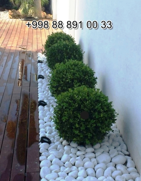  Navoiy gabion.uz Video Foto Narxi Rasm, gabion.uz в Андижане Цена Фото Обзор, Andijon gabion.uz Narxi Rasm Foto Video, Surxondaryo gabion.uz Narxi Rasm Video Foto, gabion.uz Намангане Цена Фото Обзор, Jizzax gabion.uz Video Narxi Rasm Foto, gabion.uz в Кашкадарье Цена Фото Обзор, gabion.uz in Fergana Photo Cost Video Review, gabion.uz Хорезме Фото Цена Обзор, gabion.uz in Uzbekistan Price Photo Video Cost ReView, Farg'ona gabion.uz Narxi Video Foto Rasm, rasm, gabion.uz Сурхандарье Фото Цена Обзор Видео, gabion.uz в Каракалпакистане Нукусе Цена Фото Обзор, Qoraqalpog‘iston Nukus gabion.uz Narxi Rasm Video Foto Narxi, gabion.uz Самарканде Цена Фото Обзор, gabion.uz Навои Цена Фото Обзор, gabion.uz in Surkhandarya Cost Video Review Photo, Nukus gabion.uz Narxi, O'zbekiston gabion.uz, gabion.uz in Karakalpakstan Nukus Cost Video Review Photo, gabion.uz in Syrdarya Cost Video Review Photo, gabion.uz в Бухаре Цена Фото Обзор, gabion.uz in Nukus Photo Video Cost ReView Price, gabion.uz in Bukhara Cost Video Review Photo, gabion.uz in Jizzakh Cost Video Review Photo, Qashqadaryo gabion.uz Narxi Rasm Video Foto, gabion.uz Самарканде Цена Фото Обзор, Buxoro gabion.uz Video Narxi Rasm Foto, gabion.uz Нукусе Цена Фото Обзор, Samarqand gabion.uz Foto Narxi Rasm Video Abzor, gabion.uz in Khorezm Cost Video Review Photo, Xorazm gabion.uz Narxi Video Foto Rasm, gabion.uz in Namangan Price Photo Video Cost, gabion.uz Фергане Фото Цена Обзор, gabion.uz в Ташкенте Узбекистане Цена Фото Обзор, gabion.uz in Kashkadarya Cost Video Review Photo, Namangan gabion.uz Video Foto Narxi Rasm, gabion.uz в Ташкенте Узбекистане Цена Фото Обзор, gabion.uz in Andijan Cost Video Review Photo, gabion.uz в Сырдарье Цена Фото Обзор, gabion.uz in Navoi Cost Photo Video Review, Sirdaryo gabion.uz Narxi Rasm Video Abzor Foto, gabion.uz Джизаке, gabion.uz in Samarkand Price Photo Video Cost 